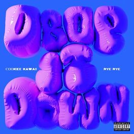 Album cover of Drop It Down (feat. Rye Rye)
