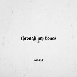 Album cover of Through My Bones