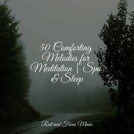 Album cover of 50 Comforting Melodies for Meditation | Spa & Sleep