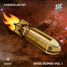 Album cover of Bass Bombs, Vol. 1