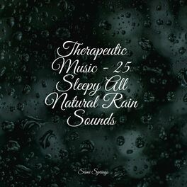 Album cover of Therapeutic Music - 25 Sleepy All Natural Rain Sounds
