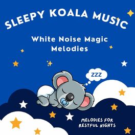 Album cover of White Noise Magic Melodies