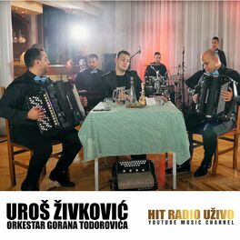 Album cover of Uros Zivkovic (Live)