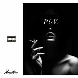 Album cover of P.O.V.