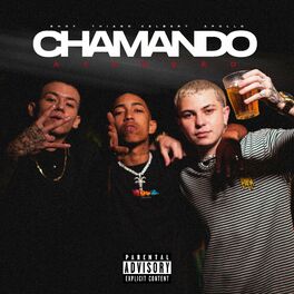 Album cover of Chamando Atenção