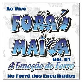 Album cover of VOL. 01 - AO VIVO NO FORRÓ DOS ENCALHADOS 1996