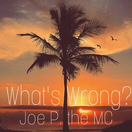 Album cover of What's Wrong?