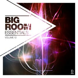 Album cover of Big Room Essentials, Vol. 12
