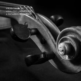 Album cover of Viejo Tambor Vidalero (Homenaje a Ricardo Rojas)