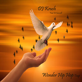 Album cover of Wonder Hip Hop Trap