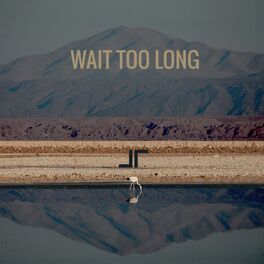 Album cover of Wait Too Long EP