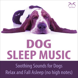 do dogs relax to music