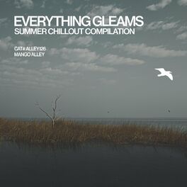 Album cover of Everything Gleams