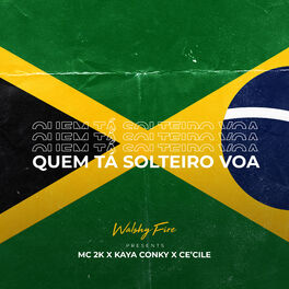 Album cover of Quem Tá Solteiro Voa