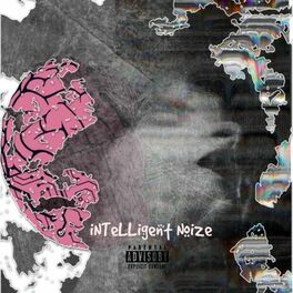 Album cover of Intelligent Noize