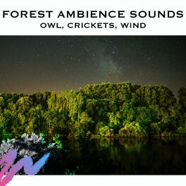 Album cover of Forest Ambience Sounds (Owl, Crickets, Wind)