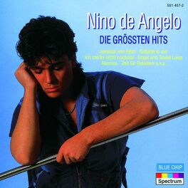 Album cover of Die Grössten Hits