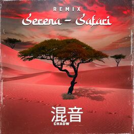 Album picture of Safari (Remix)