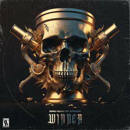 Album cover of WINNER (feat. Stealth)