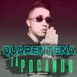Album cover of Quarentena Tá Pocando