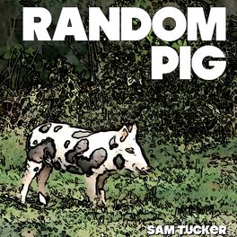 Album cover of Random Pig