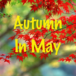 Album cover of Autumn To May