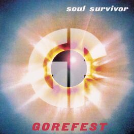 Album cover of Soul Survivor / Chapter 13