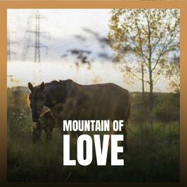 Album cover of MOUNTAIN OF LOVE