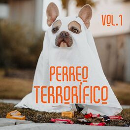 Album cover of Perreo Terrorífico Vol. 1