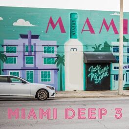 Album cover of Miami Deep 3