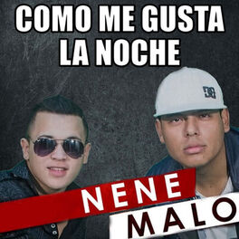 Album picture of Como Me Gusta la Noche