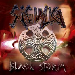 Album cover of Black Storm