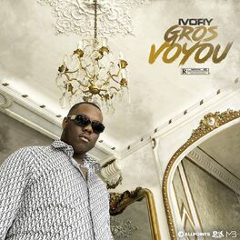 Album cover of Gros voyou