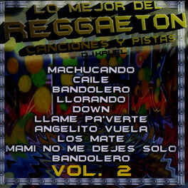 Album cover of Lo Mejor Del Reggaeton, Vol. 2