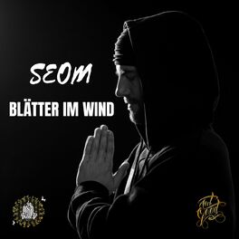 Album cover of Blätter im Wind