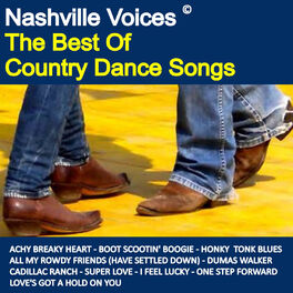 Album cover of The Best Country Dance Songs