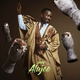 Album cover of Alajee