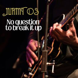 Album cover of No Question to Break It Up