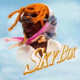 Album cover of SKYBOX