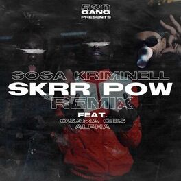 Album cover of Skrr Pow (Remix)