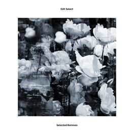 Album cover of Edit Select - Selected Remixes