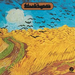 Album cover of The Blackbyrds