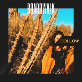 Album cover of Hollow