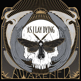Album cover of Awakened