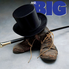 Album cover of Mr. Big [Expanded]