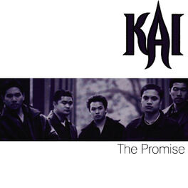 Album cover of The Promise