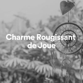 Album cover of Charme rougissant de joue