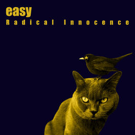 Album cover of Radical Innocence
