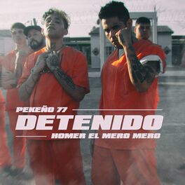 Album cover of Detenido
