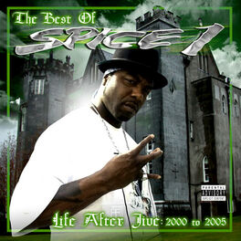 Album cover of Life After Jive